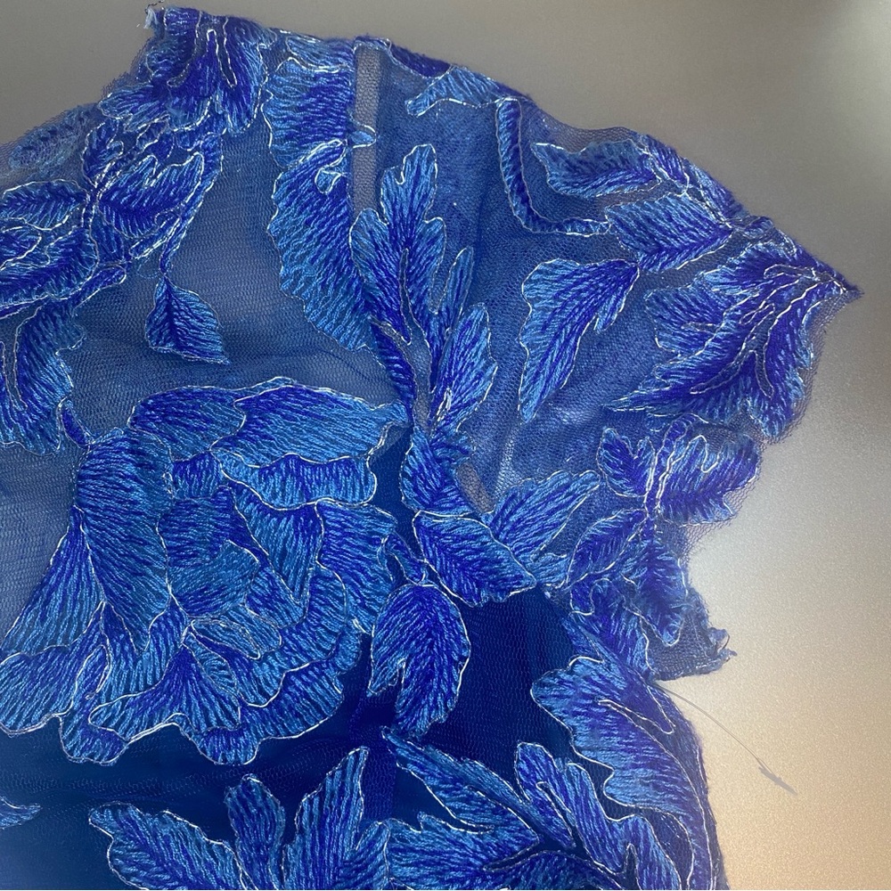 EUC TADASHI SHOJI YASMIN GOWN - SIZE 10 - Picture 4 of 15